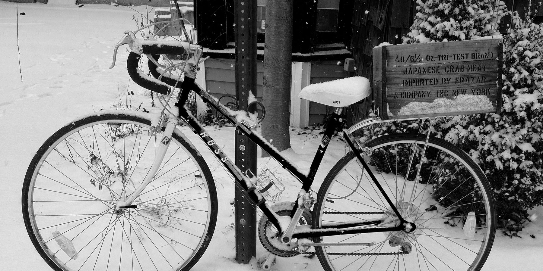 bicycles india